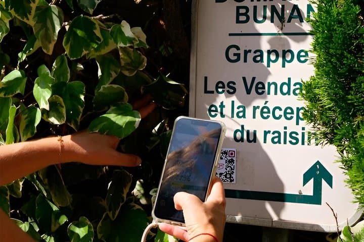 Wine tasting and free tour of the vineyards at Domaine Bunan