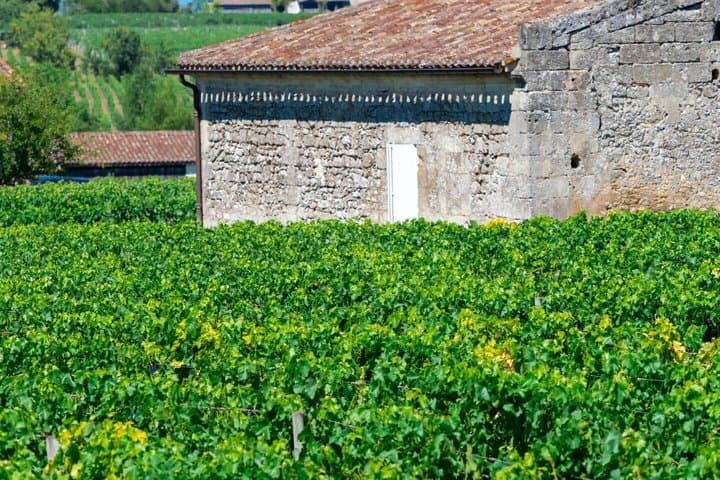 Hello Saint-Émilion: Private 2-Hour City Walk with Local Guide