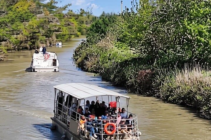 Cruise on the Canal du Midi site UNESCO