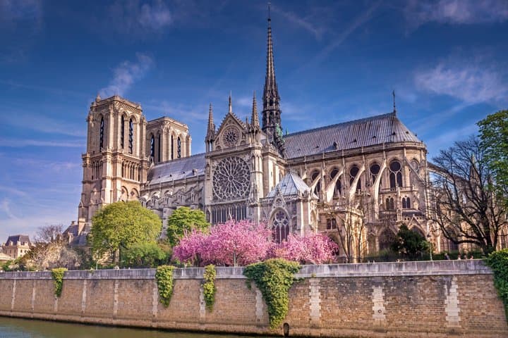 Paris Half-Day: 30+ Sights, Eiffel Tower, Montmartre & Notre-Dame