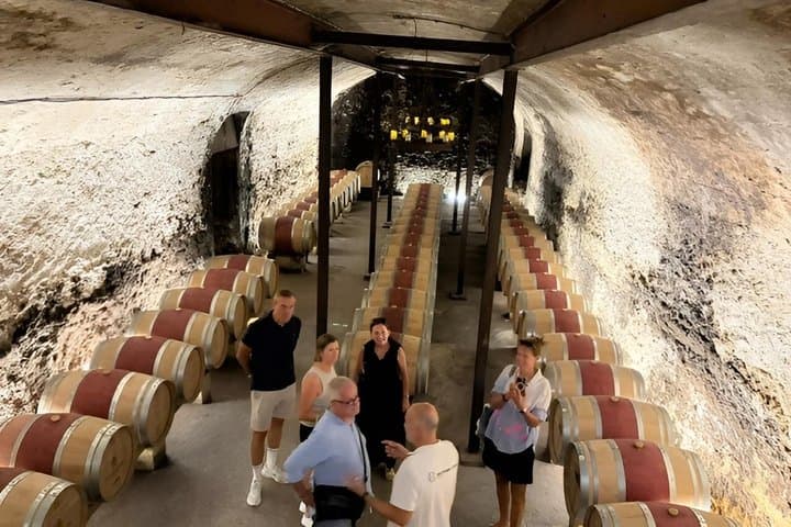 Châteauneuf du Pape and Gigondas Private Wine Day in Méhari