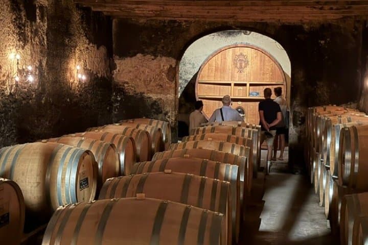 Châteauneuf du Pape and Gigondas Private Wine Day in Méhari