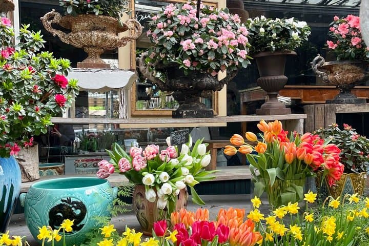Paris: Ile De La Cité Walking Tour: Discover Paris' Birthplace