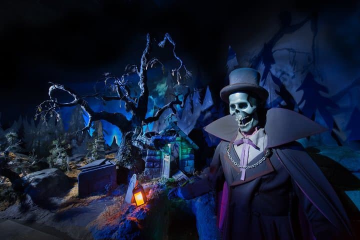 Disneyland® Paris Express Shuttle with Ticket from Central Paris