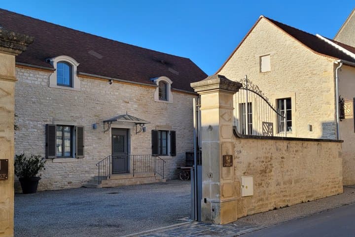 Meursault between vineyards and great wines of Burgundy