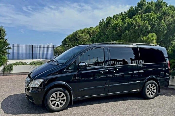 Private Transfer Airoport CDG Orly to Disney by Minivan 7pax
