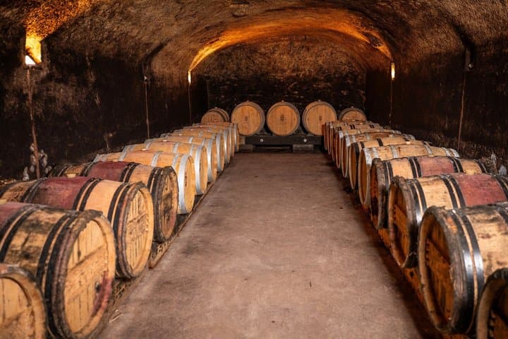 Visit and tasting of 3 wines in Teyras de Grandval