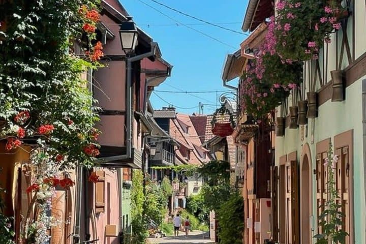 Excursion through several typical Alsatian villages