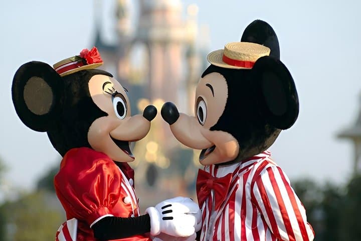 Private Transfer Airoport CDG Orly to Disney by Minivan 7pax