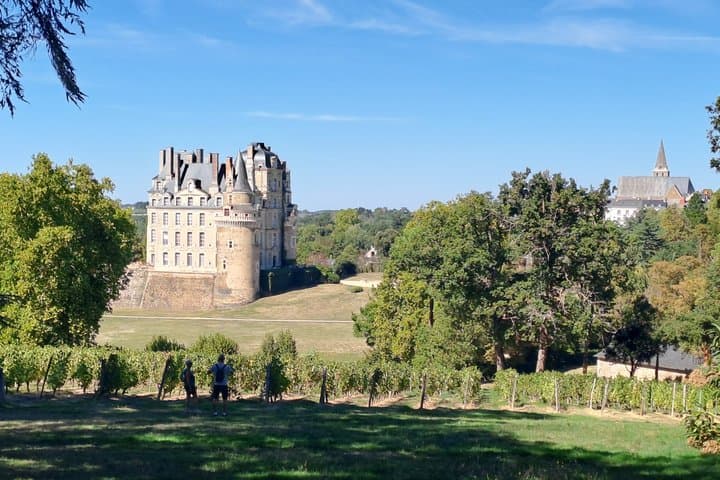 Anjou Chateau and Wine Discovery Full day
