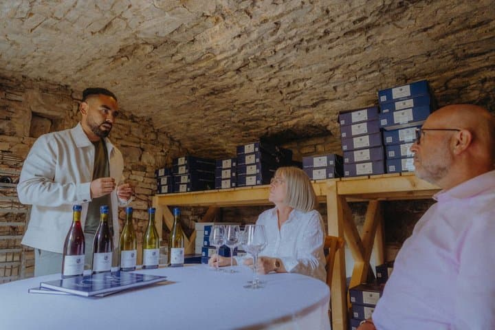 Meursault between vineyards and great wines of Burgundy