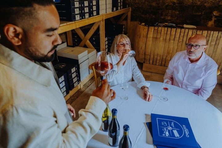 Meursault between vineyards and great wines of Burgundy