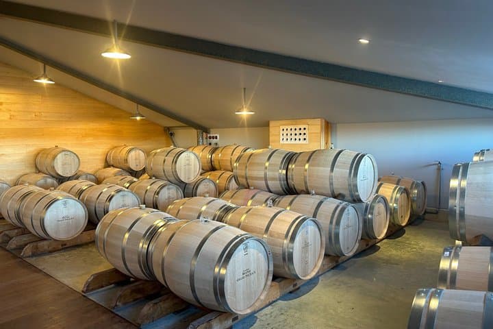 Bordeaux Wine Safari Tour Explore Vineyards and Wine Tasting