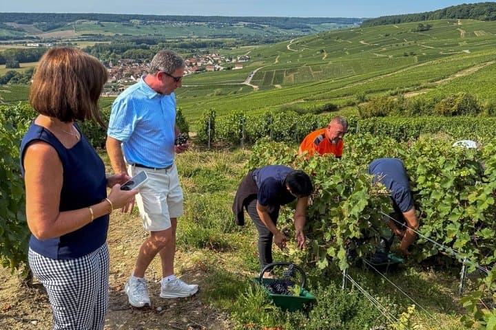 Champagne Half Day Visit with 2 Winemakers and Tastings