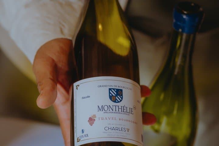 Meursault between vineyards and great wines of Burgundy
