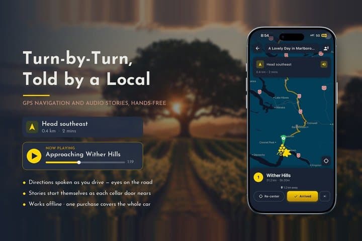 Bordeaux & Saint-Émilion Wine Tour: Self-Guided GPS Audio Guide
