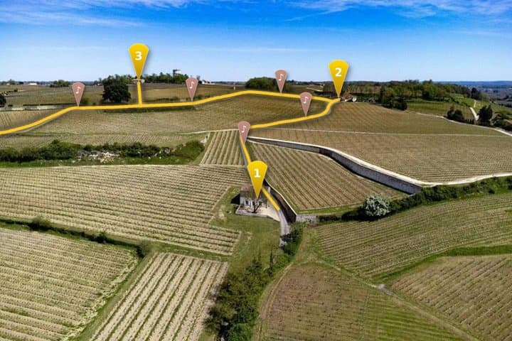 Medoc Wine Tour Self Guided GPS Audio Guide from Bordeaux