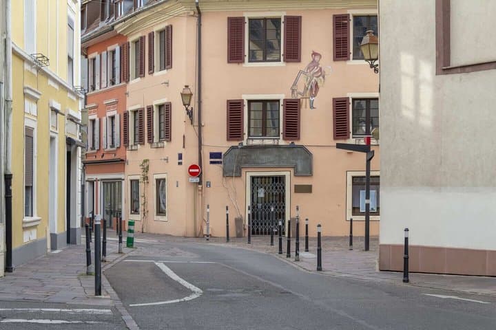 Hello Mulhouse: Private 2-Hour Intro City Walk with Local Guide