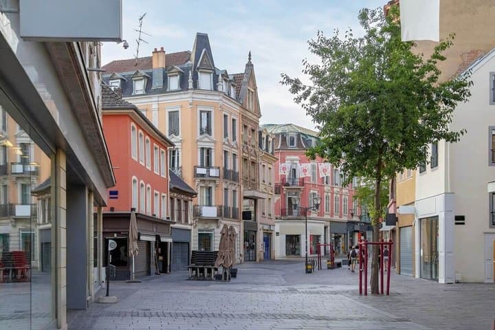 Hello Mulhouse: Private 2-Hour Intro City Walk with Local Guide