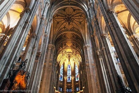 Medieval Paris private tour