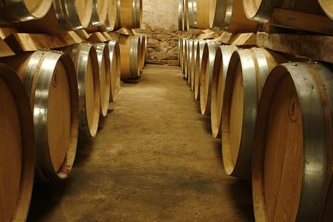 Wine Tour visit of the cellars