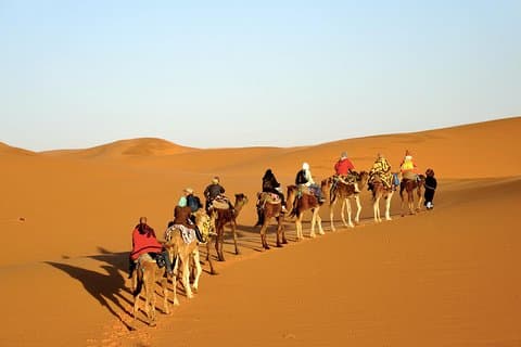 sunset camel ride