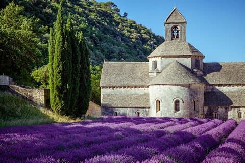 Abbaye de Senanque