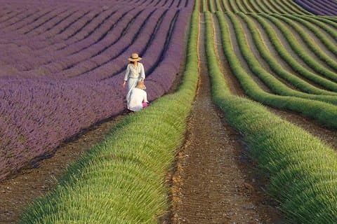 Provence