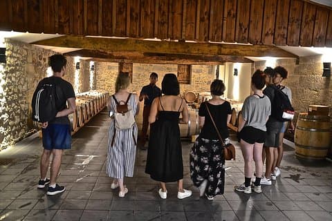 "Explore Saint-Émilion on e-Bikes: Small Group, half-Day Tour"