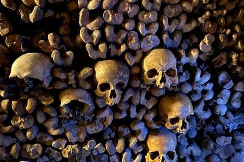 Paris Catacombs Semi-Private Tour with VIP Access