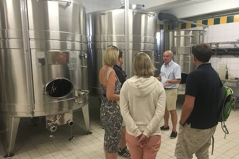 Private Grand & Premier Cru Pinot Noir Champagne Vineyard Tour