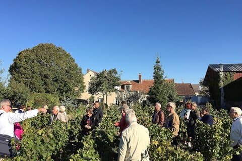 Visit and Chablis wine tasting at Domaine Clotilde Davenne in English