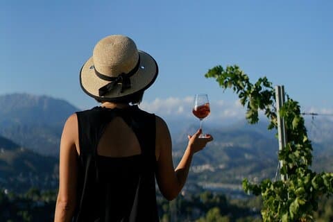 Vineyard Tour