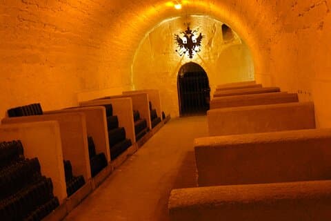 Custom Planned Champagne Half Day Tour for Private Groups of 8+