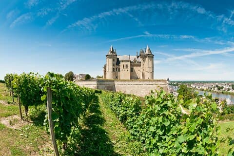 Chinon
