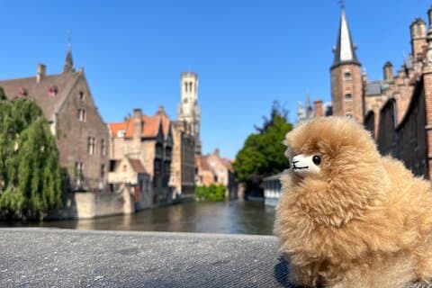 Bruges Private tour from Paris with Tastings