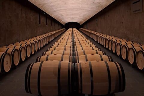 Private Bordeaux wine tour with wine pro 8h (up to 7 people)