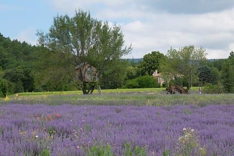 Full Day Private Tour from Arles Nimes or the Alplilles