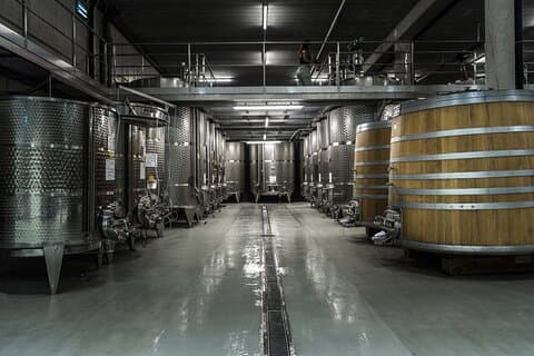 EXPLORATION - Visit of the estate, the cellars & tasting