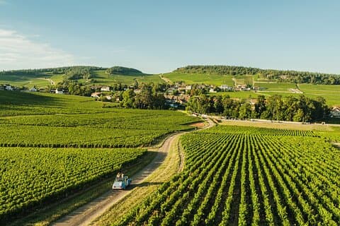 1-day guided tour on the Burgundy Wine Route in a classic car