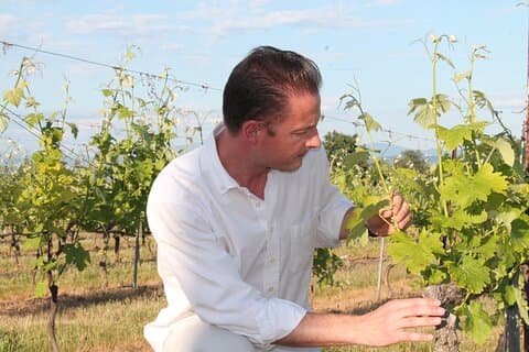 Taste of Provence - Wine and Scenery around Aix-en-Provence