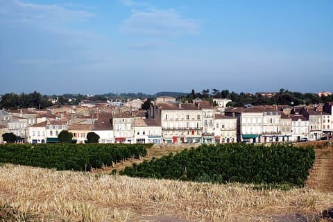 Half-Day Private Tour from Bordeaux to Blaye Citadel