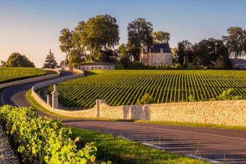 Médoc Wine Tour Vert Bordeaux