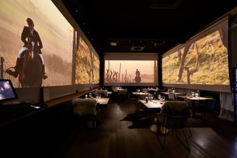Visit to the cellar-tasting and 100% immersive Alsatian meal