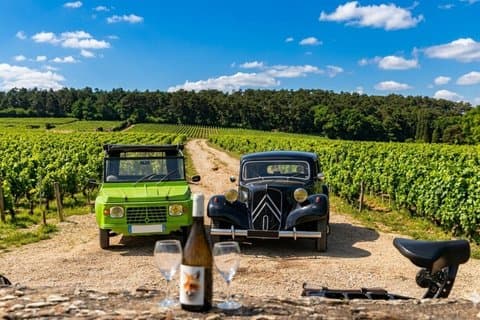 Côte de Beaune: Vintage car, tastings and lunch
