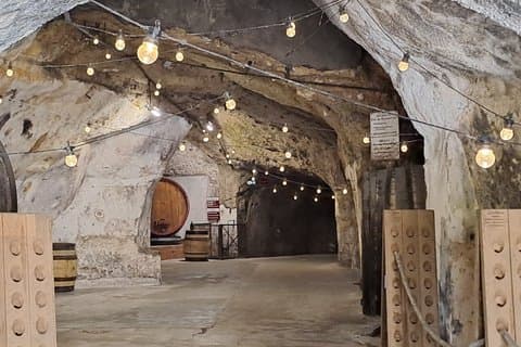 Saumur Unique Wine Experience Full Day