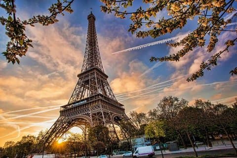 Eiffel Tower Tour with Optional Combo