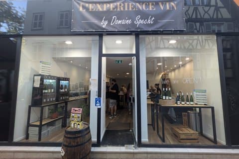 Wine and Gastronomy tasting in Colmar - The Signature Experience
