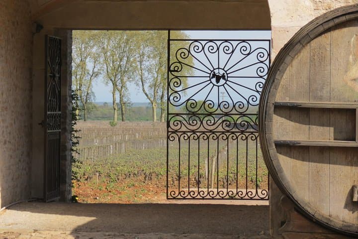 Private Wine Tour to Burgundy Region from Paris