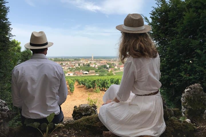 Burgundy vines - wine tour